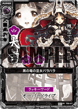P06-017-01.png