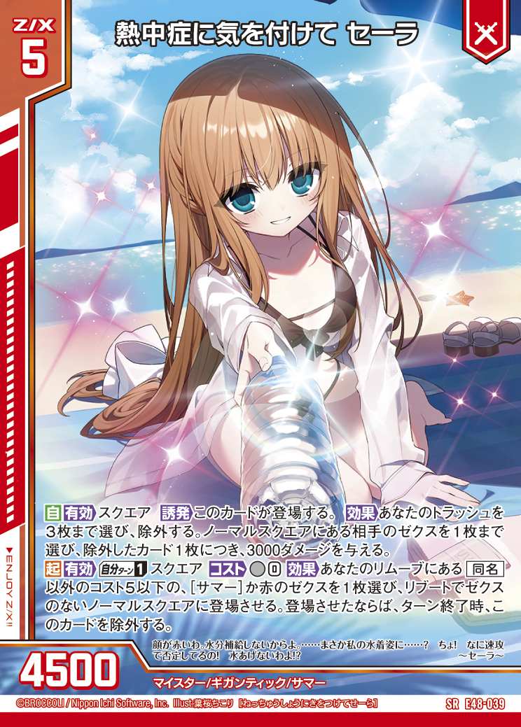 パソコンゲームのフライヤー 5枚 パソコンゲームのフライヤー 5枚 パソコンゲームのフライヤー 5枚